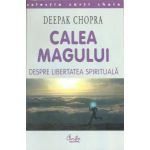 CALEA MAGULUI - despre libertatea spirituală