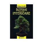 Bonsai pentru interioare