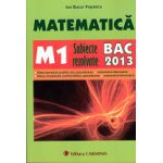 Bacalaureat 2013 Matematică M1 Subiecte Rezolvate