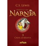Cronicile din Narnia 3. Calul și băiatul