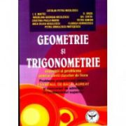 Geometrie si trigonometrie: exercitii si probleme pentru elevii claselor de liceu