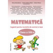 Matematica clasa a VIII-a. Sugestii pentru lucrarile de control si teze